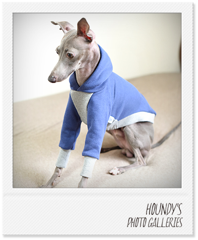 Italian Greyhound Clothing  Pullover Hoodie Fashionable dog clothes Cyan 201