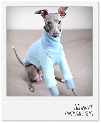 Italian Greyhound Clothing  High Neck Sweat heather Luxury dog clothing Cyan 201