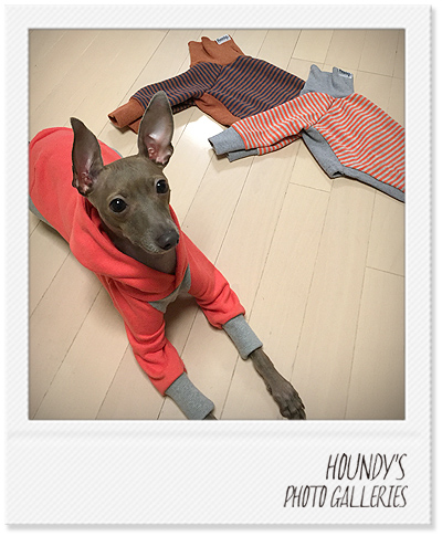 Italian Greyhound dog Clothing High Neck Sweat Border Pullover Hoodie Online pet store Ani 228