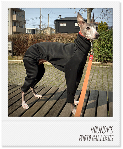 Italian Greyhound dog Clothing Light Fleece Rompers Pet boutique Ram 230