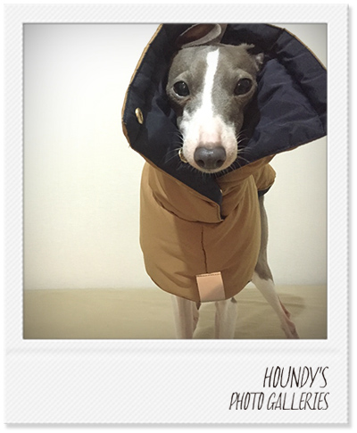 Italian Greyhound Dog Clothing
Reversible Quilting Coat Handmade dog clothes Sunny 285