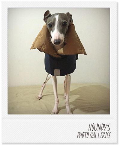 Italian Greyhound Dog Clothing
Reversible Quilting Coat Small dog clothes Sunny 285