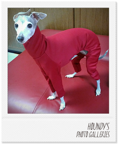 Italian Greyhound Clothing Light Fleece Rompers Designer dog clothes Iyori 295
