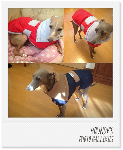 Italian Greyhound Dog Clothing Reversible Quilting Coat Camel Navy Small-breed dogs Julia & Federica & Melvin 306