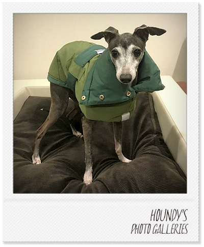 Italian Greyhound Dog Clothing Reversible Quilting Coat Dog coats Robby 363
