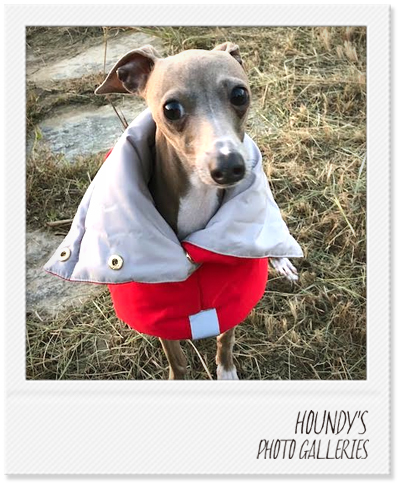 Italian Greyhound Dog Clothing Reversible Quilting Coat Fashionable dog clothes Neko 367