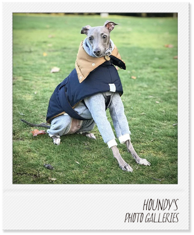 Italian Greyhound Dog Clothing Reversible Quilting Coat Camel Navy Dog jackets Roberto 370