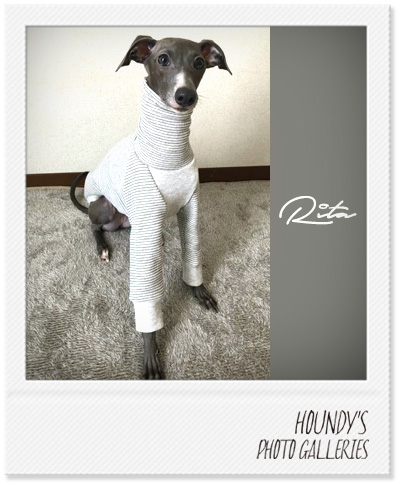 Italian Greyhound Dog Clothing Border Sweat Online pet store Rita 382