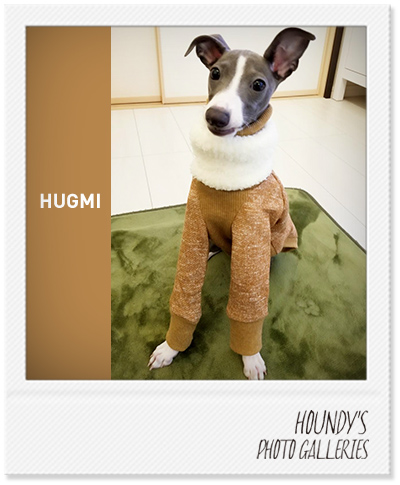 Italian Greyhound Dog Clothing High Neck Sweat heather Color Fashionable dog clothes Hugme 399
