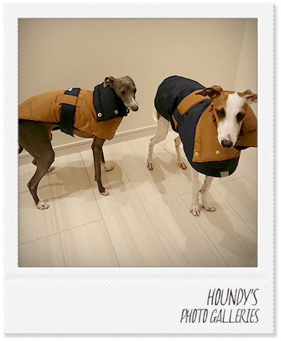 Italian Greyhound Dog Clothing Reversible Quilting Coat iggy Designer dog clothes Pal & Beet 409