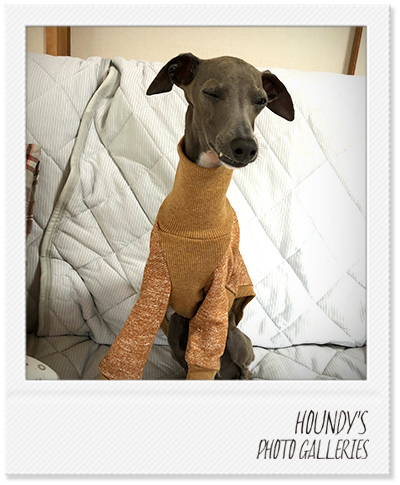 Italian Greyhound Dog Clothing High Neck Sweat heather Color Small dog clothes Sora 428