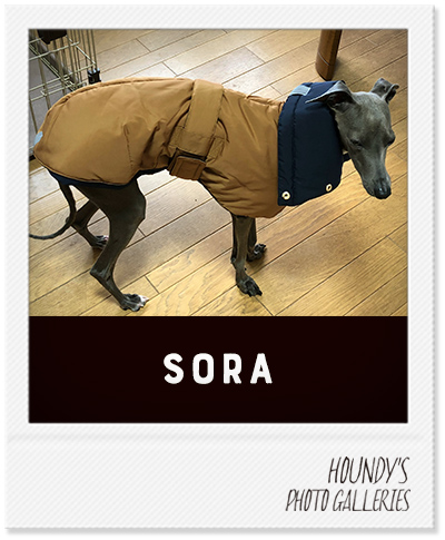 Italian Greyhound Dog Clothing Reversible Quilting Coat Camel Navy 
Dog jackets Sora 428