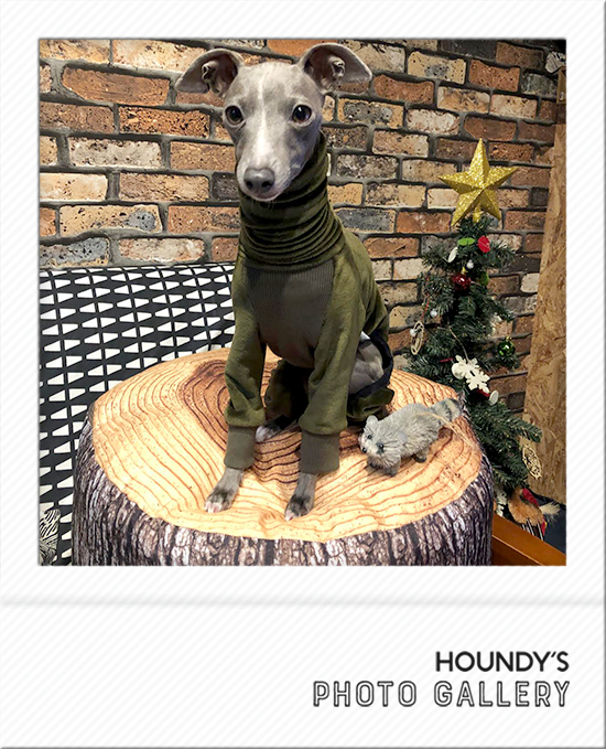 Italian Greyhound Dog Clothing Light Fleece Rompers iggy Canine couture Tsumugi 466
