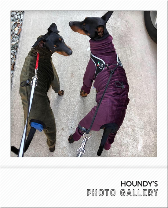 Italian Greyhound Dog Clothing Fleece Rompers iggy Online pet store Boss & Al 475