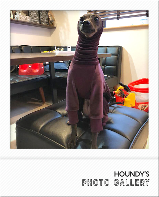 Italian Greyhound Dog Clothing Fleece Rompers iggy Pet boutique Mona 478