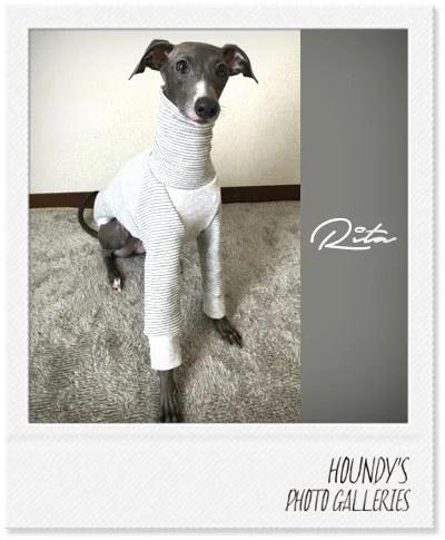 Rita Italian Greyhound clothing