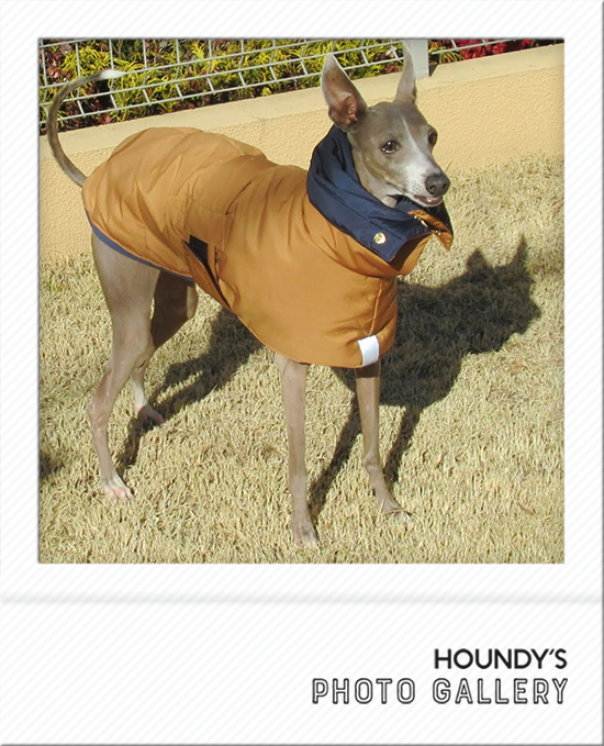 Italian Greyhound Dog Clothing Reversible Quilting Coat iggy Luxury dog clothing 485
