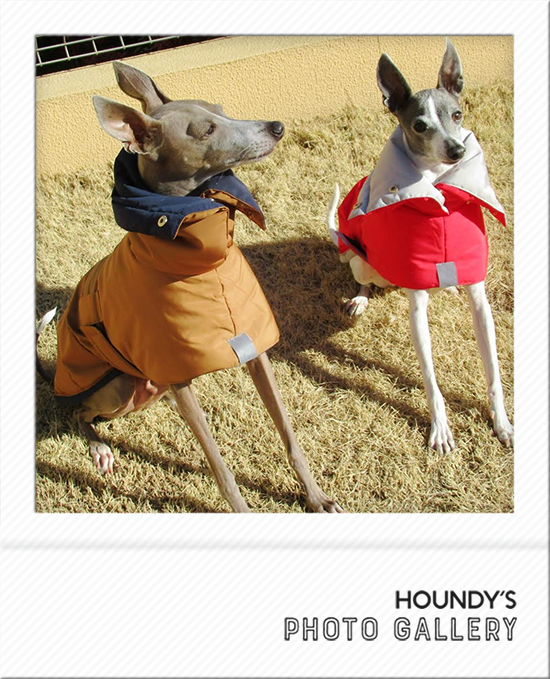 Italian Greyhound Dog Clothing Reversible Quilting Coat iggy Pet fashion 485