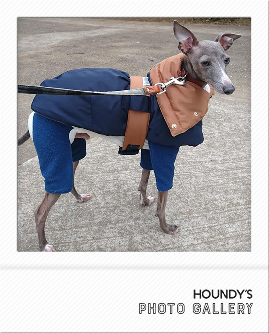Italian Greyhound Dog Clothing Reversible Quilting Coat iggy Luxury dog clothing 486