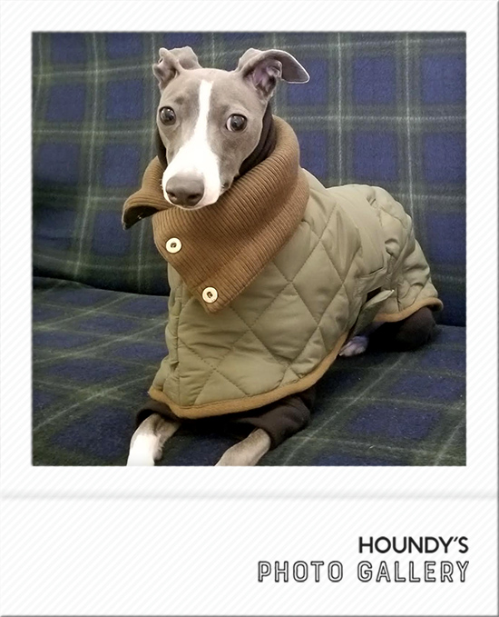 Italian Greyhound Dog Clothing Reversible Quilting Coat iggy Dog coats 488