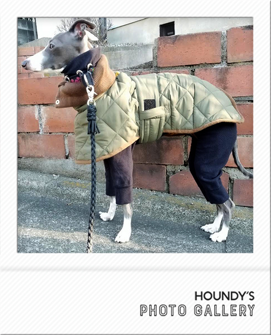 Italian Greyhound Dog Clothing Light Fleece Rompers iggy Dog accessories 488