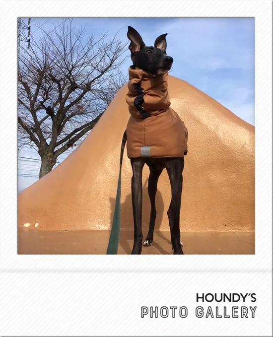 Italian Greyhound Dog Clothing Reversible Quilting Coat iggy 497 Designer dog clothes