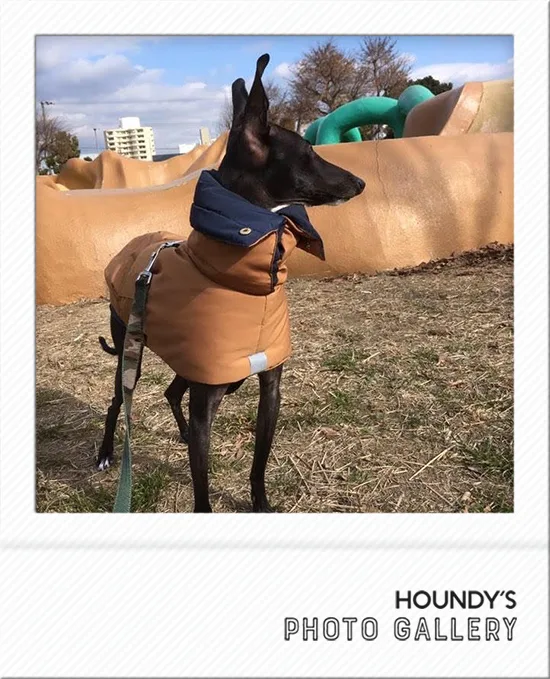 Italian Greyhound Dog Clothing Reversible Quilting Coat iggy 497 Dog coats