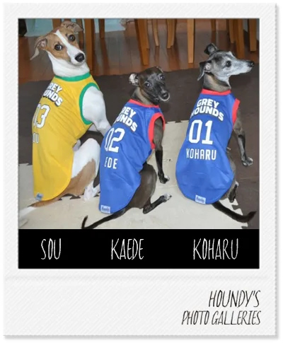 IGGY DOGWEAR clothing Koharu & Kaede & Sou Mesh Tank Top