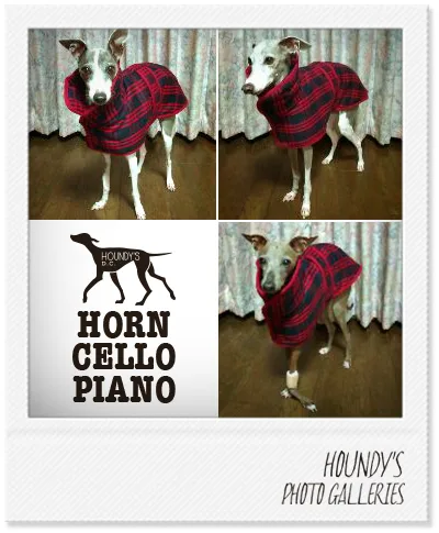 Dog clothing Reversible Quilting Coat Horn & Cello & Piano