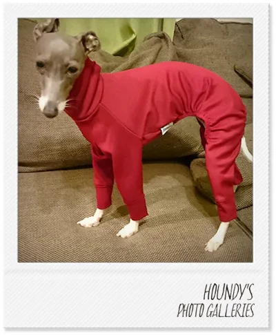 Italian Greyhound clothing  Light Fleece Rompers Lily