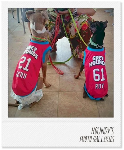  Italian Greyhound / Miniature Pinscher DOGWEAR clothing  GREYHOUNDS Mesh Tank Top Eachu & Roy