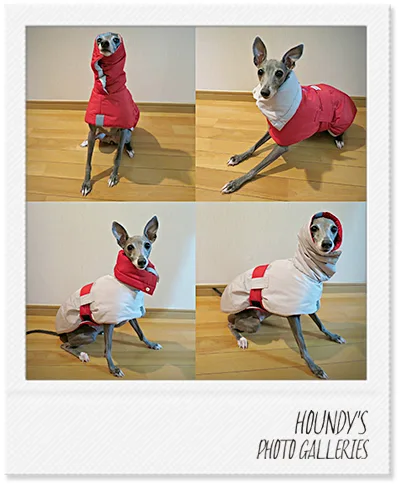 Italian Greyhound clothing Reversible Quilting Coat Rose