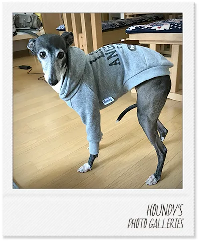 Italian Greyhound clothes  Customized Pullover Hoodie Konatsu