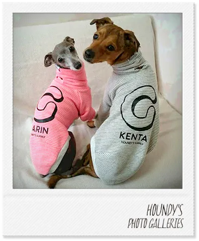 Italian Greyhound / Mix clothes Border Sweat Marin & Kenta