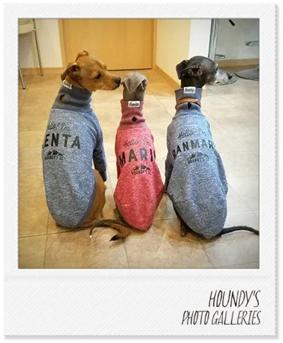  Italian Greyhound / Mix DOGWEAR  High Neck Sweat [heather Color] Ranmaru & Marin & Kenta