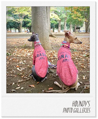 IGGY DOGWEAR clothing  High Neck Sweat [heather Color] Arashi & Hinata
