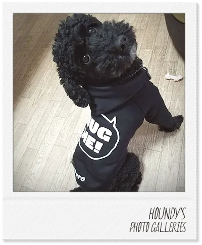 Miniature Poodle clothes Customized Pullover Hoodie Nero