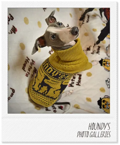 Custom dog clothes  Stripe Sweater Milan & Sena