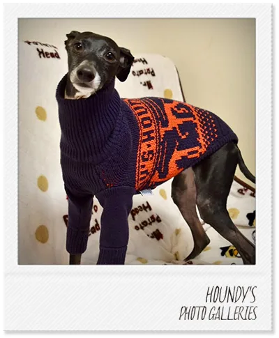 Designer dog clothes Stripe Sweater Milan & Sena