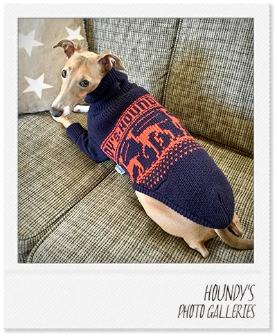 Italian Greyhound clothes Stripe Sweater Luke