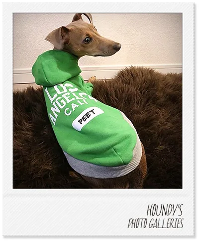 Italian Greyhound × Miniature Pinscher clothing Customized Pullover Hoodie Peet