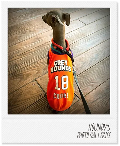 Iggy clothes GREYHOUNDS Mesh Tank Top Cuore