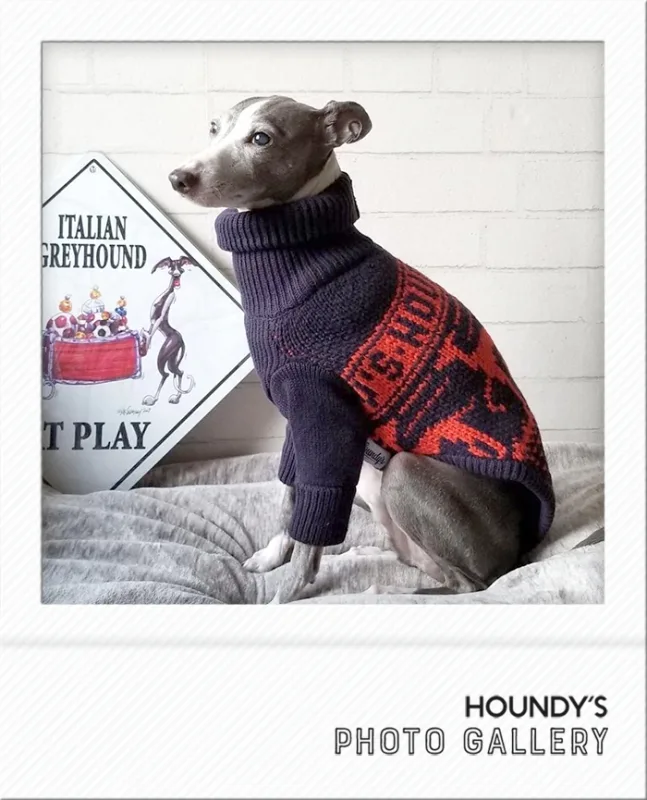 IGGY DOGWEAR clothing Stripe Sweater Rufi