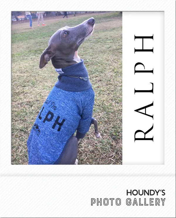 Dog clothing  High Neck Sweat [heather Color] Ralph