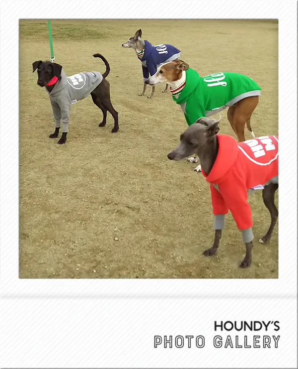 Italian Greyhound / Mix DOGWEAR Customized Pullover Hoodie Al & Jay & Komari & Rin