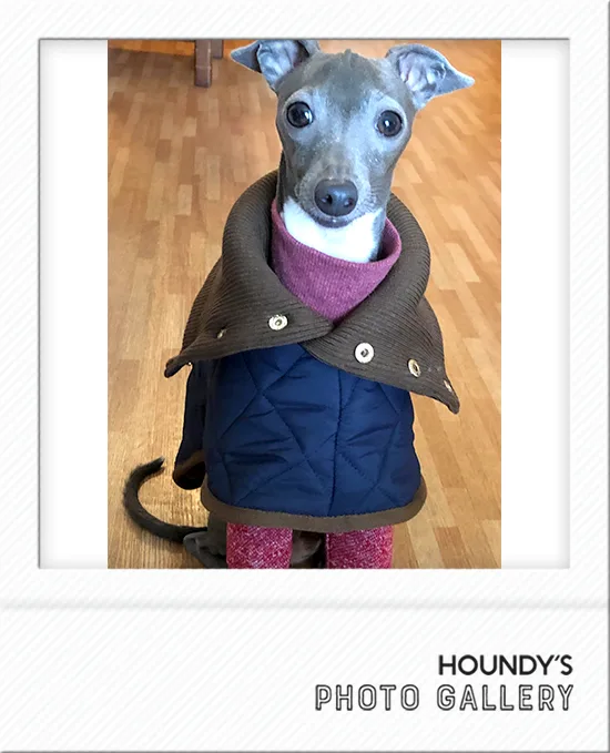 Italian Greyhound clothes  Reversible Quilting Coat Emma