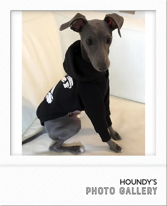 IGGY DOGWEAR Customized Pullover Hoodie Fuku
