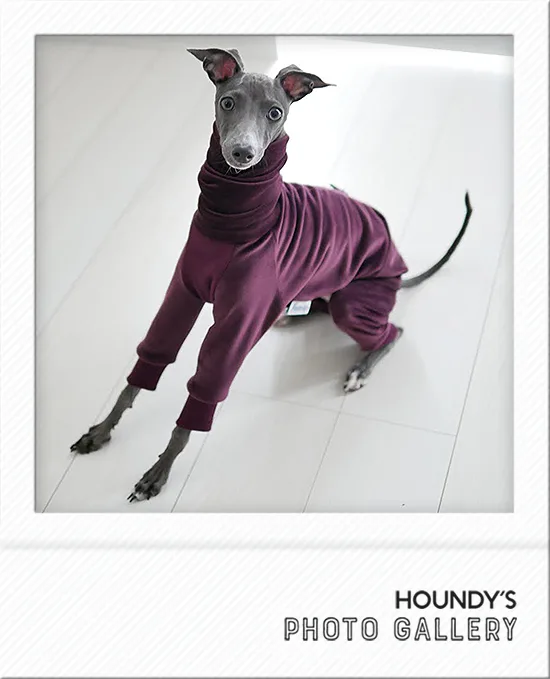 Italian Greyhound clothes Fleece Rompers  Itakun 