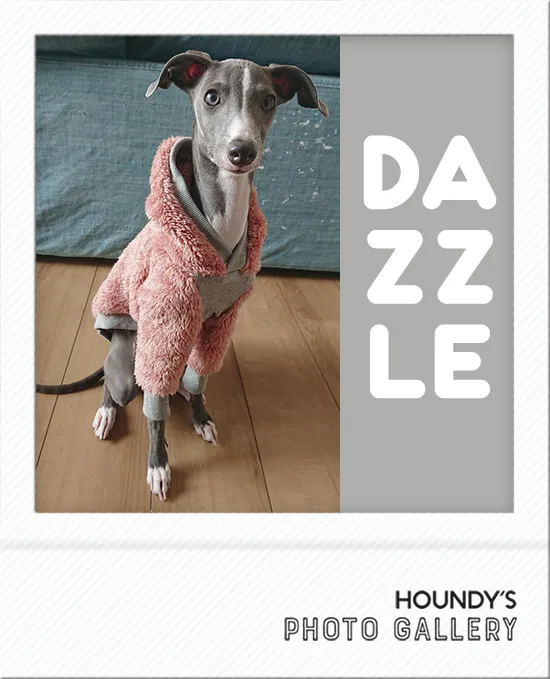 Dog clothing  Shaggy Fleece Hoodie Dazzle