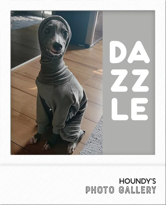 Designer dog clothes  Fleece Rompers Dazzle